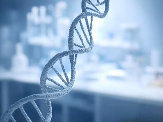 MadVits Ultimate DNA Test